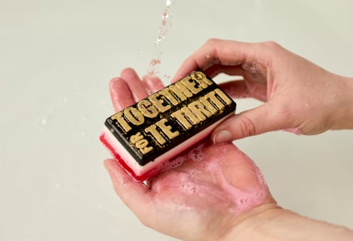 Together for Te Tiriti: A fight for Māori justice