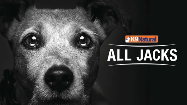 K9 Natural All Jacks Campaign