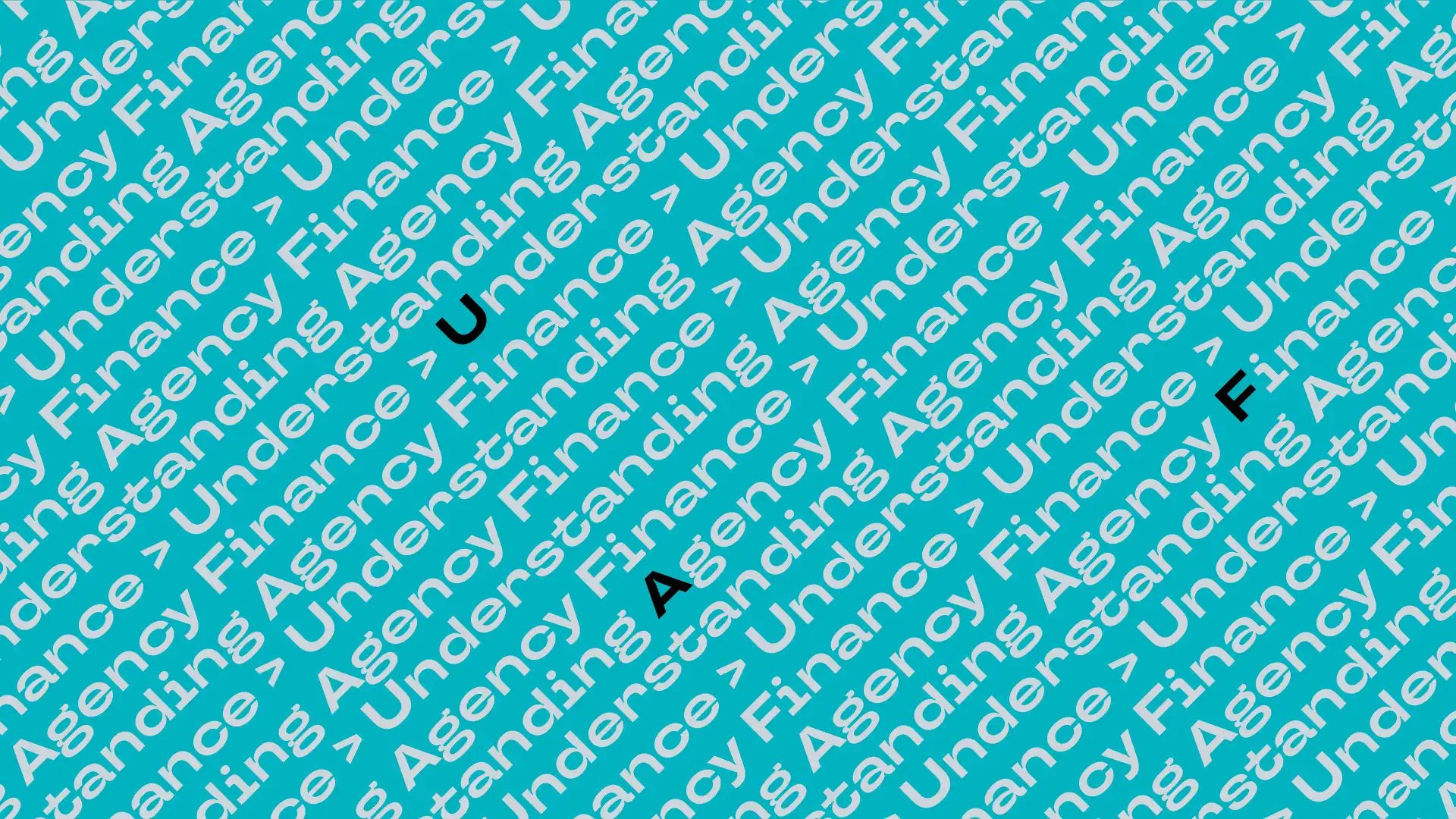 Hero - Understanding Agency Finance