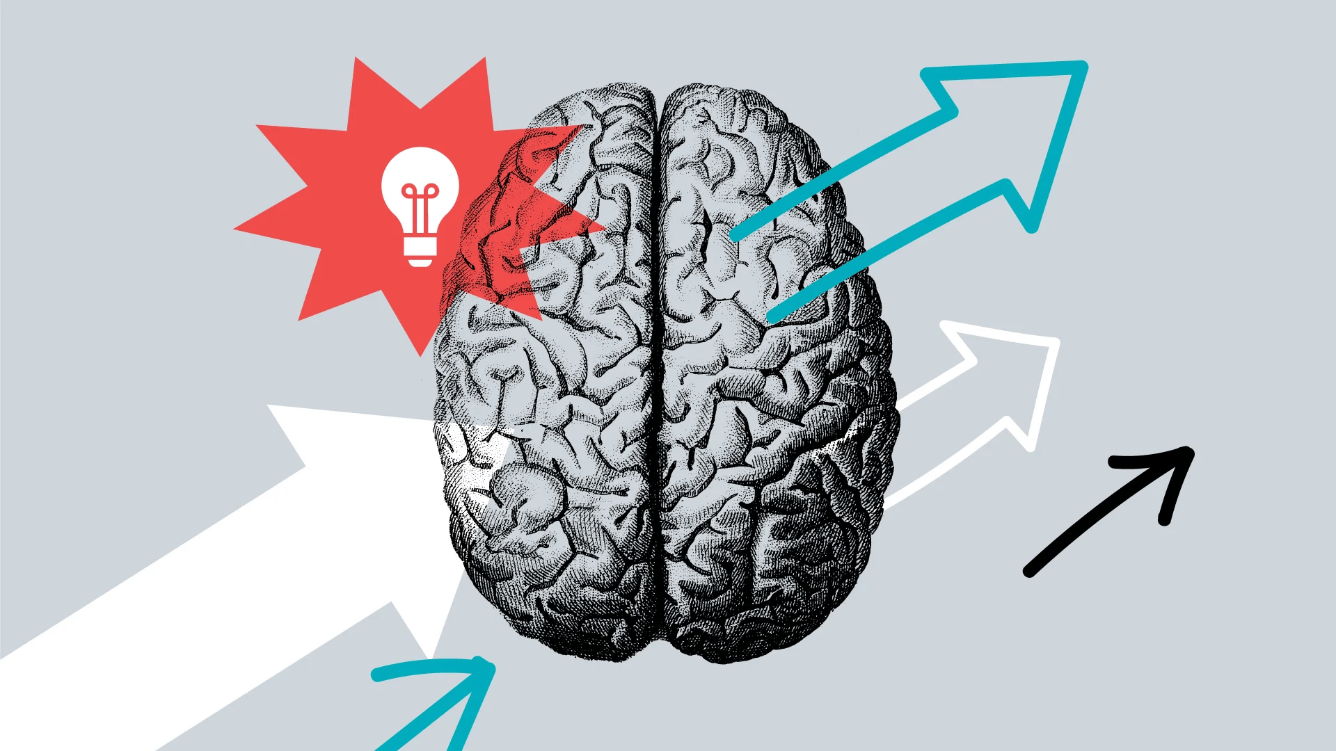 Thought Leadership - Banner