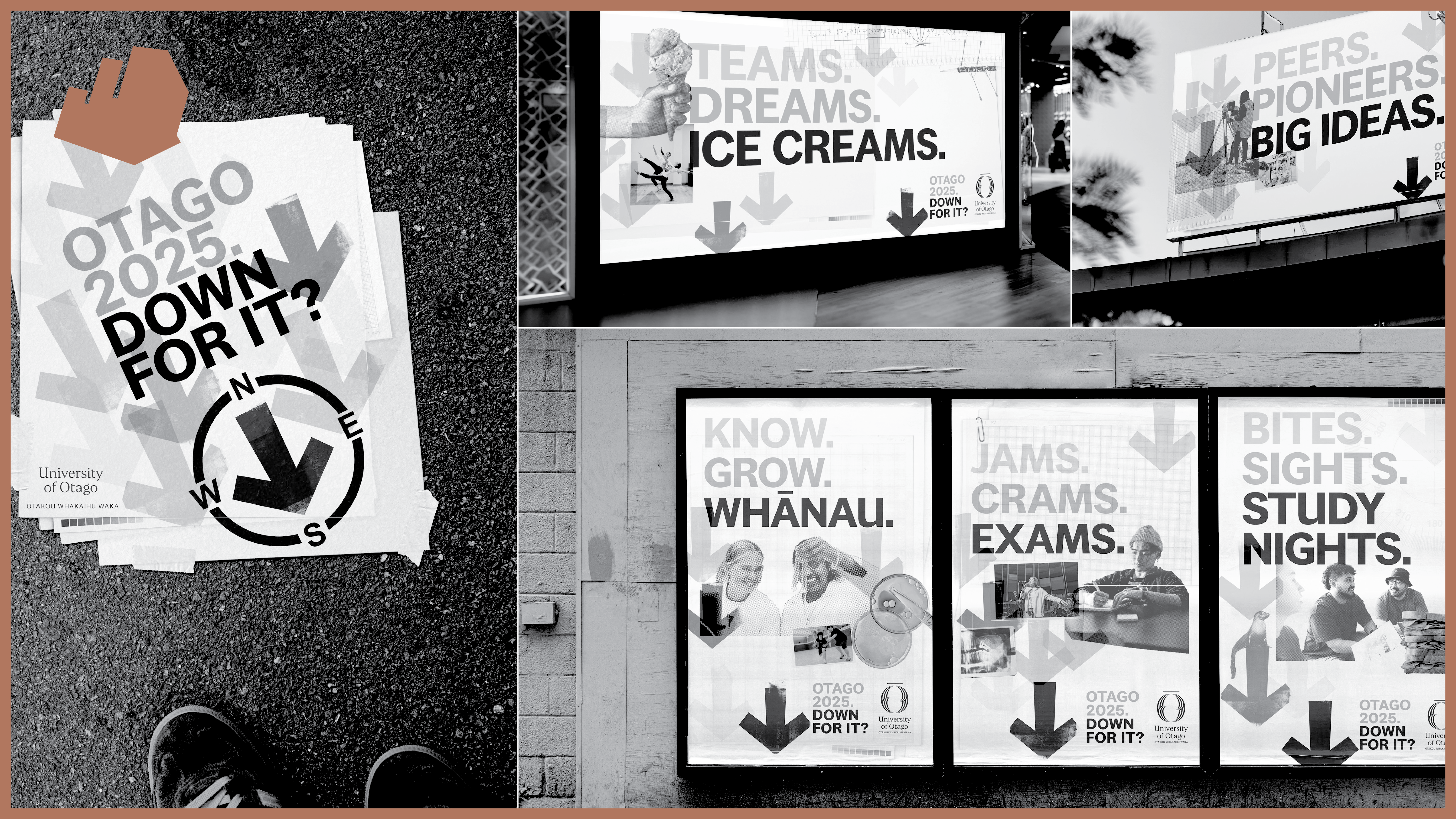 Bronze _A10 and B12 - Otago Uni