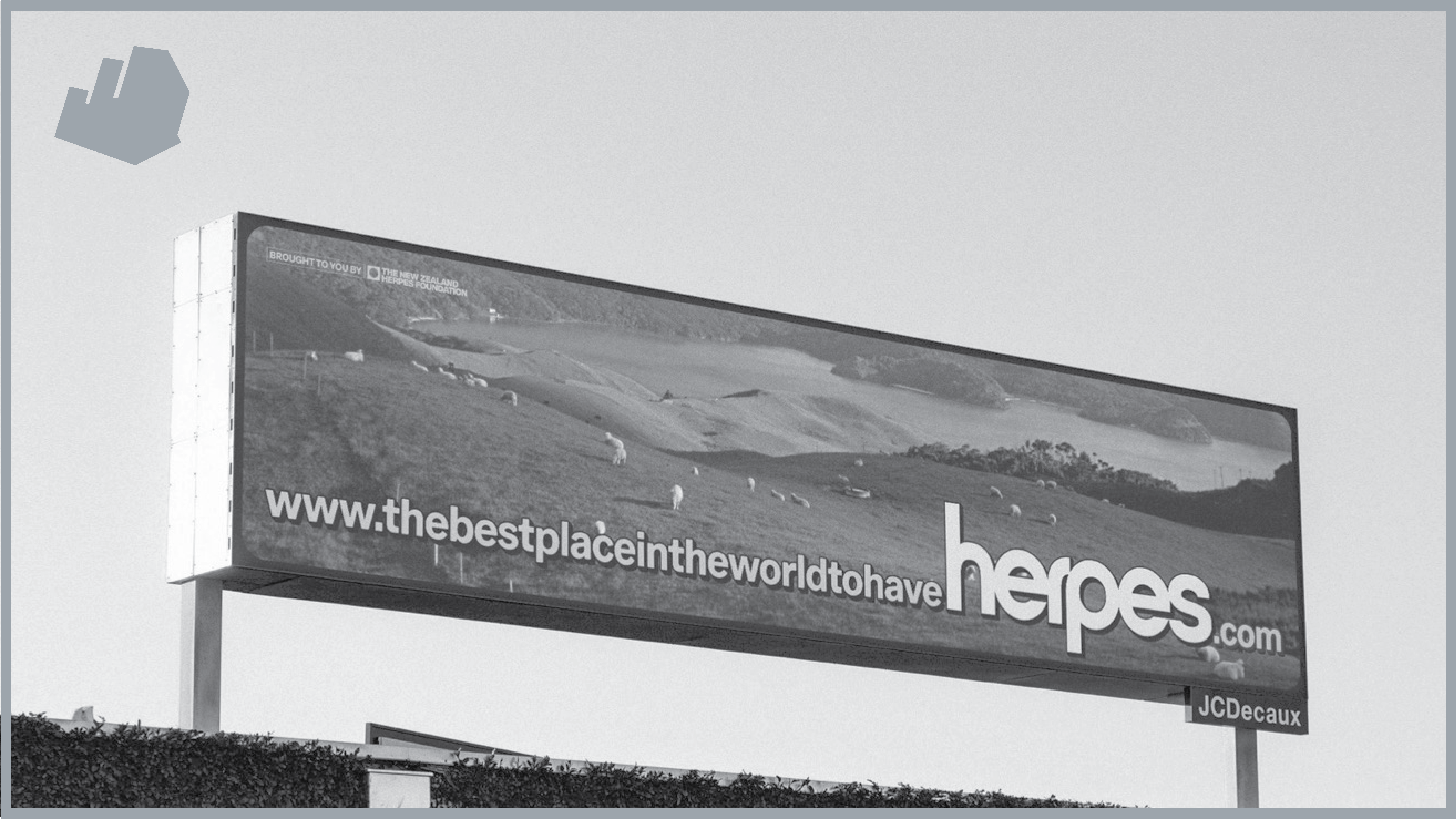 Silver _B11 - Herpes