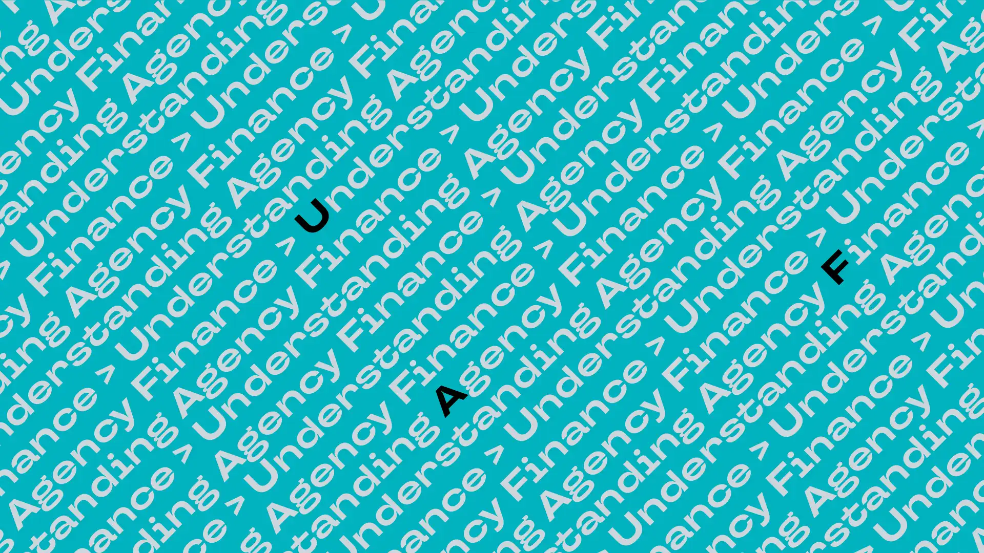 Hero - Understanding Agency Finance